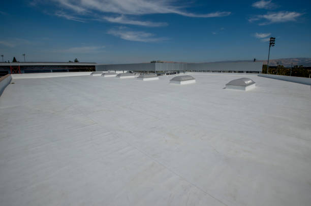 Best Skylight Installation and Repair  in Fairview Heights, IL